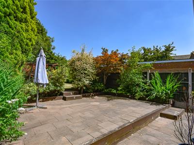 Picture 20